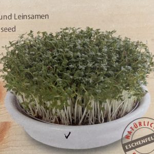 Eschenfelder Ceramic SPROUTER TRAY - 12 cm White